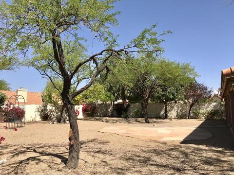 4120 E Cascalote Dr, Cave Creek, AZ 85331 photo 30