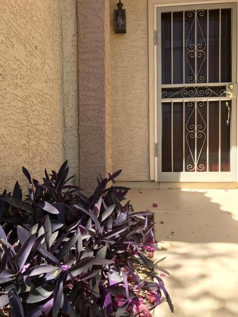 4120 E Cascalote Dr, Cave Creek, AZ 85331 photo 3