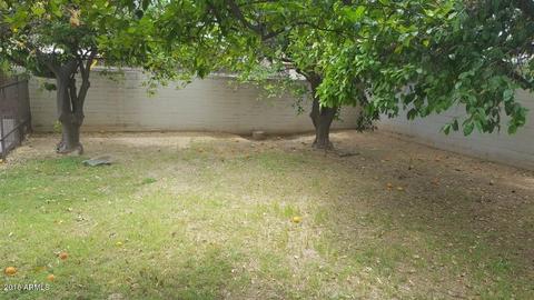 1443 E 1st St, Mesa, AZ 85203 photo 37