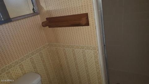 1443 E 1st St, Mesa, AZ 85203 photo 31