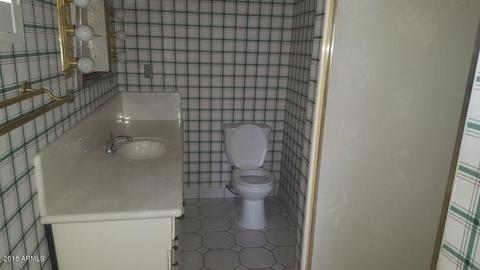 1443 E 1st St, Mesa, AZ 85203 photo 15
