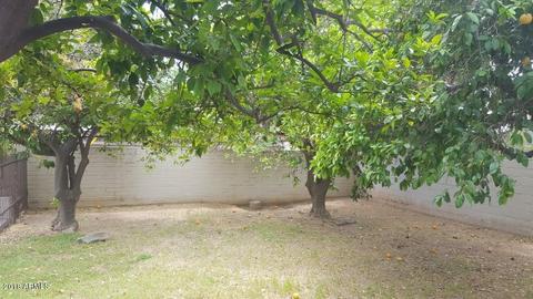 1443 E 1st St, Mesa, AZ 85203 photo 38