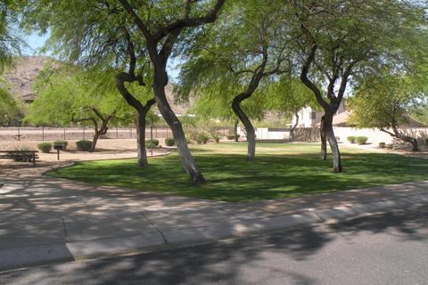 3520 E Melody Dr, Phoenix, AZ 85042 photo 30