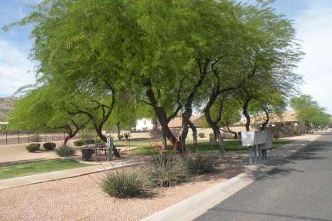3520 E Melody Dr, Phoenix, AZ 85042 photo 29