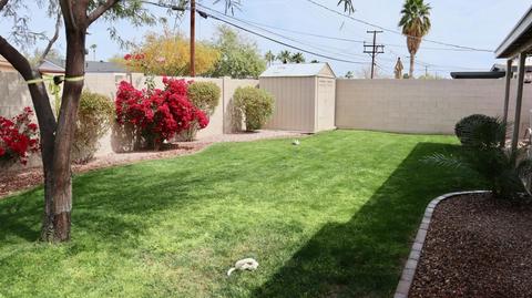 338 E Garfield St, Tempe, AZ 85288 photo 46
