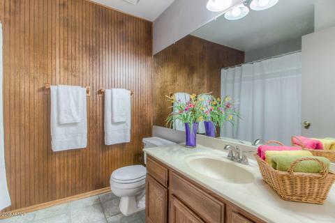 4602 E Sunrise Dr, Phoenix, AZ 85044 photo 24