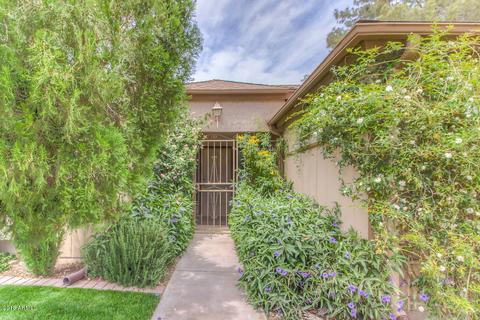 4602 E Sunrise Dr, Phoenix, AZ 85044 photo 4