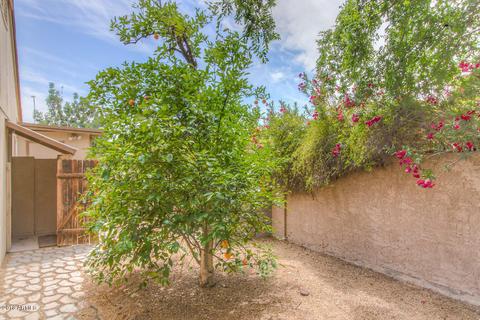 4602 E Sunrise Dr, Phoenix, AZ 85044 photo 36