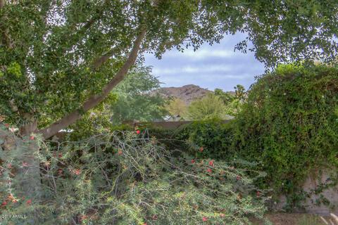 4602 E Sunrise Dr, Phoenix, AZ 85044 photo 2