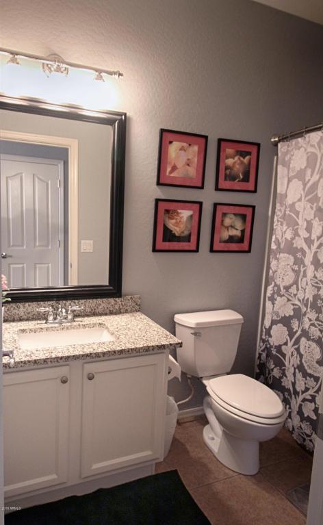3663 E Jaguar Ave, Gilbert, AZ 85298 photo 10