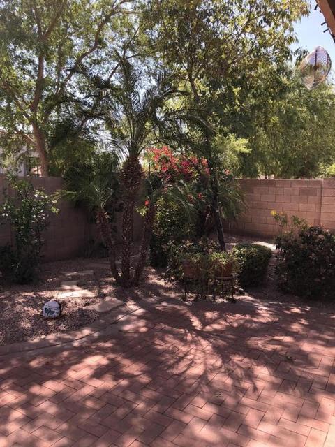 449 S Ash St, Gilbert, AZ 85233 photo 11