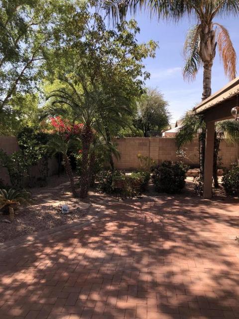 449 S Ash St, Gilbert, AZ 85233 photo 9