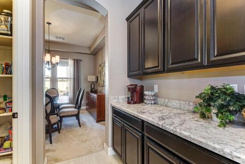 10253 E Stealth Ave, Mesa, AZ 85212 photo 19