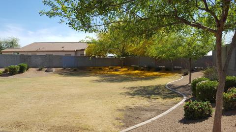 2764 W 18th Ave, Apache Junction, AZ 85120 photo 50