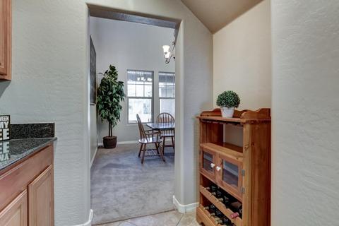 11029 E Renfield Ave, Mesa, AZ 85212 photo 40