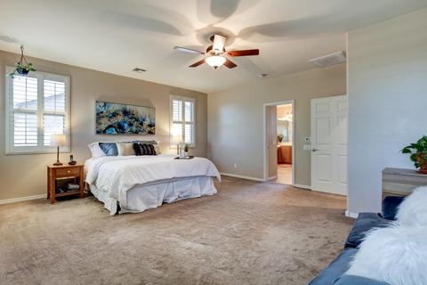 11029 E Renfield Ave, Mesa, AZ 85212 photo 50