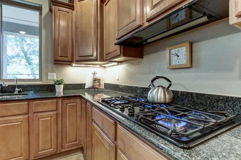 11029 E Renfield Ave, Mesa, AZ 85212 photo 37