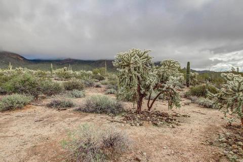11529 E Minton St, Mesa, AZ 85207 photo 50