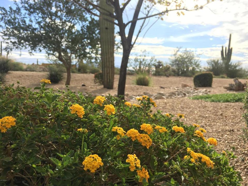  11529 E Minton St, Mesa, AZ 85207 photo 71