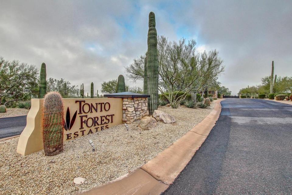  11529 E Minton St, Mesa, AZ 85207 photo 47