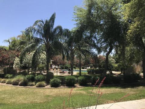 10127 E Isleta Ave, Mesa, AZ 85209 photo 15
