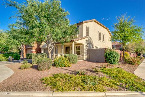 3419 E Terrace Ave, Gilbert, AZ 85234 photo 3
