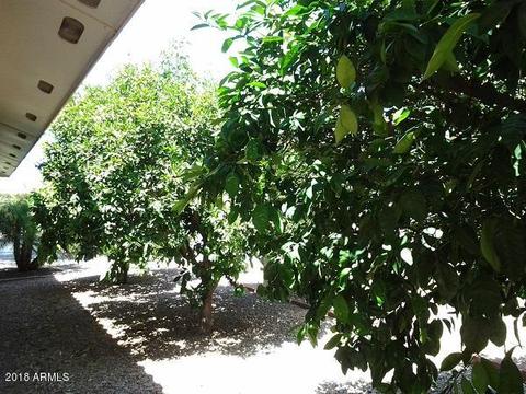 7865 E Lakeview Ave, Mesa, AZ 85209 photo 38