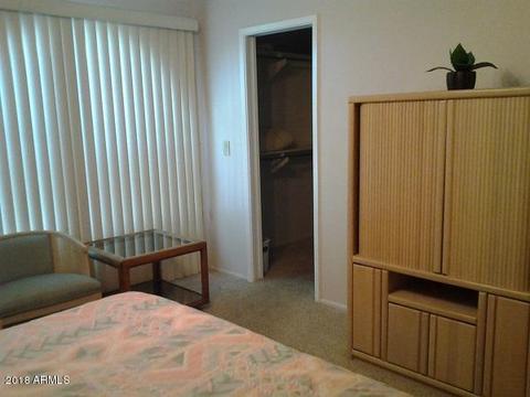 7865 E Lakeview Ave, Mesa, AZ 85209 photo 28