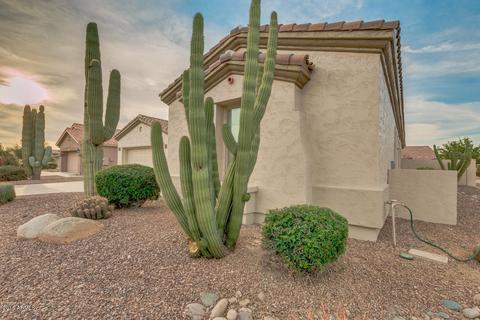 4764 E Jude Ct, Gilbert, AZ 85298 photo 11