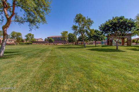 1967 E Azalea Ct, Gilbert, AZ 85298 photo 4