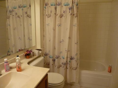 210 E Danbury Rd, Phoenix, AZ 85022 photo 15