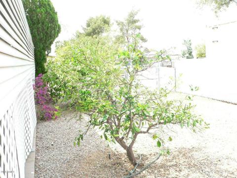 8114 E Billings St, Mesa, AZ 85207 photo 31