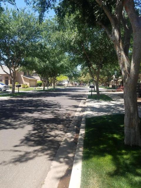 3448 E Linda Ln, Gilbert, AZ 85234 photo 8