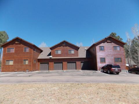 2278 Overgaard Springs Lo Loop, Overgaard, AZ 85933 photo 21