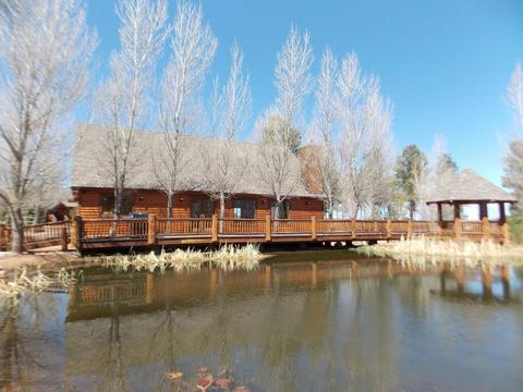 2278 Overgaard Springs Lo Loop, Overgaard, AZ 85933 photo 14