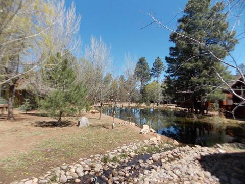 2278 Overgaard Springs Lo Loop, Overgaard, AZ 85933 photo 16