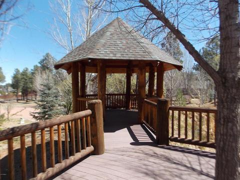 2278 Overgaard Springs Lo Loop, Overgaard, AZ 85933 photo 19