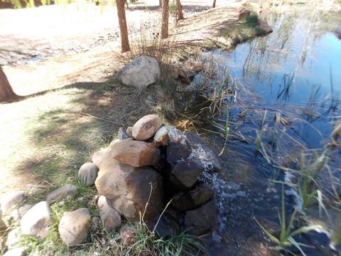 2278 Overgaard Springs Lo Loop, Overgaard, AZ 85933 photo 15