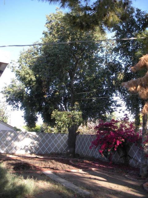 2525 E Hazelwood St, Phoenix, AZ 85016 photo 29