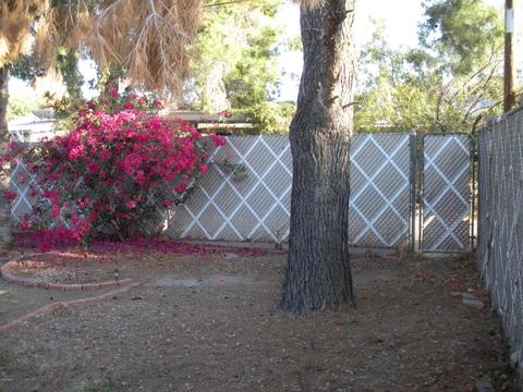 2525 E Hazelwood St, Phoenix, AZ 85016 photo 28