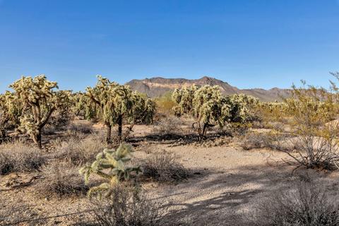 9543 E Kramer Cir, Mesa, AZ 85207 photo 22