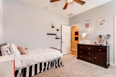 3734 E Ringtail Way, Phoenix, AZ 85050 photo 20