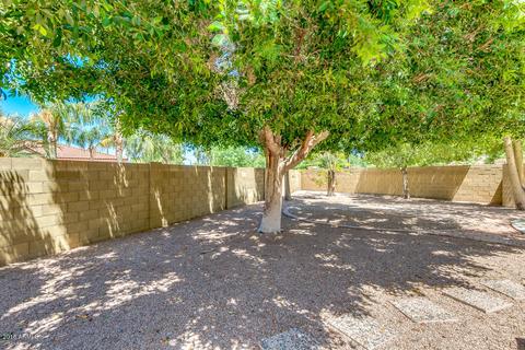 806 W Shellfish Dr, Gilbert, AZ 85233 photo 36