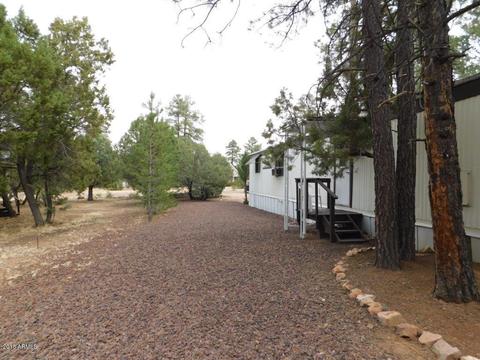 2117 Chevelon Rd, Overgaard, AZ 85933 photo 25