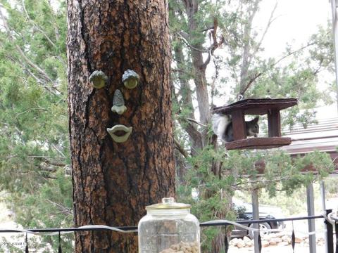 2117 Chevelon Rd, Overgaard, AZ 85933 photo 37