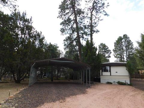 2117 Chevelon Rd, Overgaard, AZ 85933 photo 2