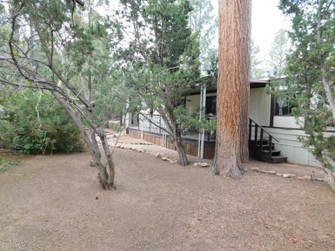 2117 Chevelon Rd, Overgaard, AZ 85933 photo 5
