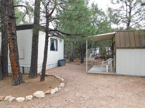 2117 Chevelon Rd, Overgaard, AZ 85933 photo 27