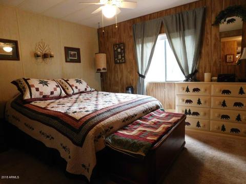 2117 Chevelon Rd, Overgaard, AZ 85933 photo 18