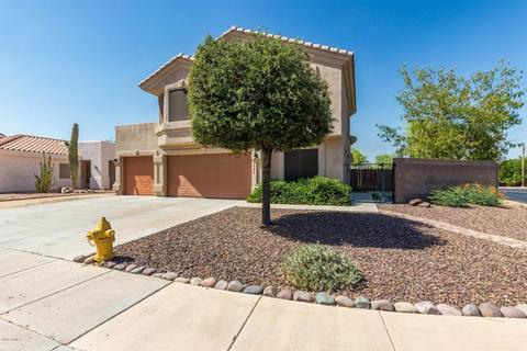 1544 E Desert Ln, Phoenix, AZ 85042 photo 16